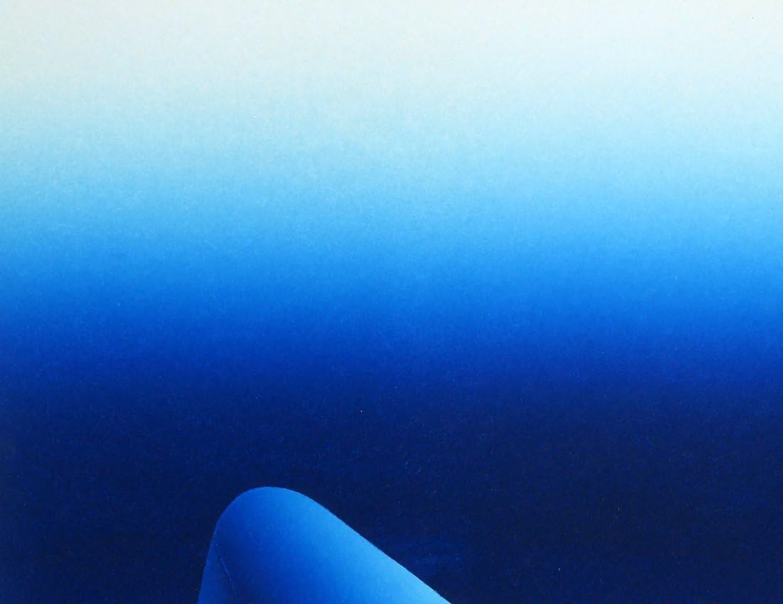 Amazon.co.jp: 小竹美術真作保証□秋山 静「BLUE NPRIZON81-c-6